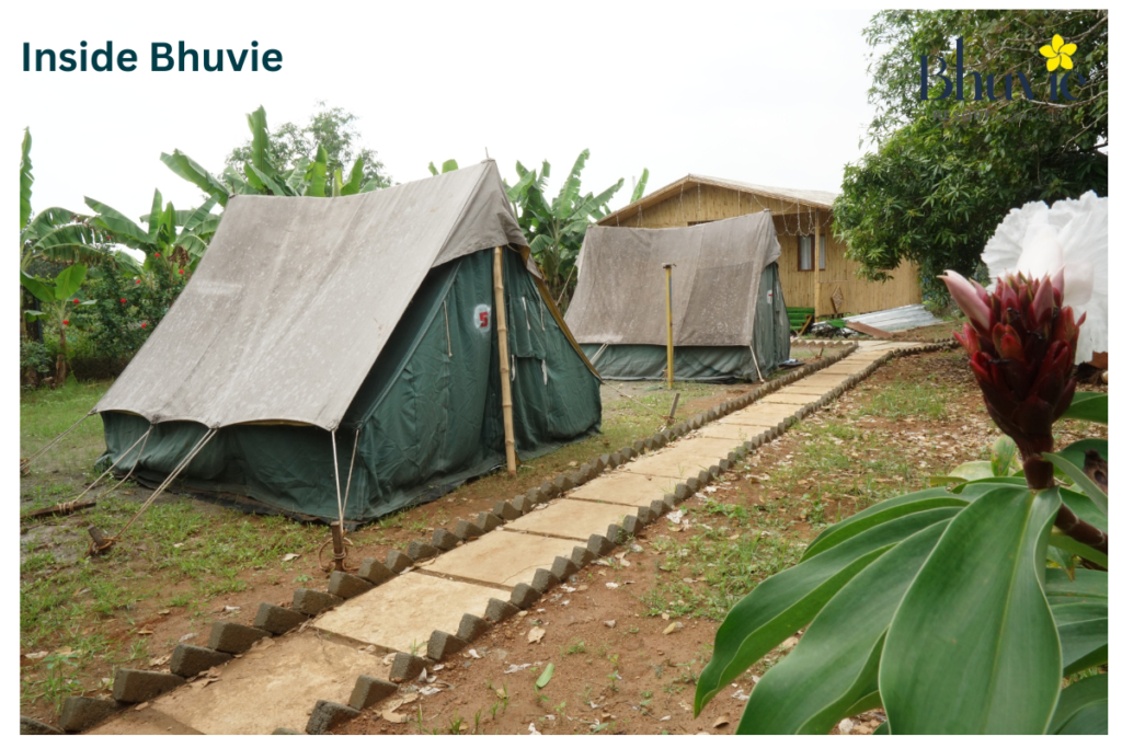 Inside Bhuvie (1)